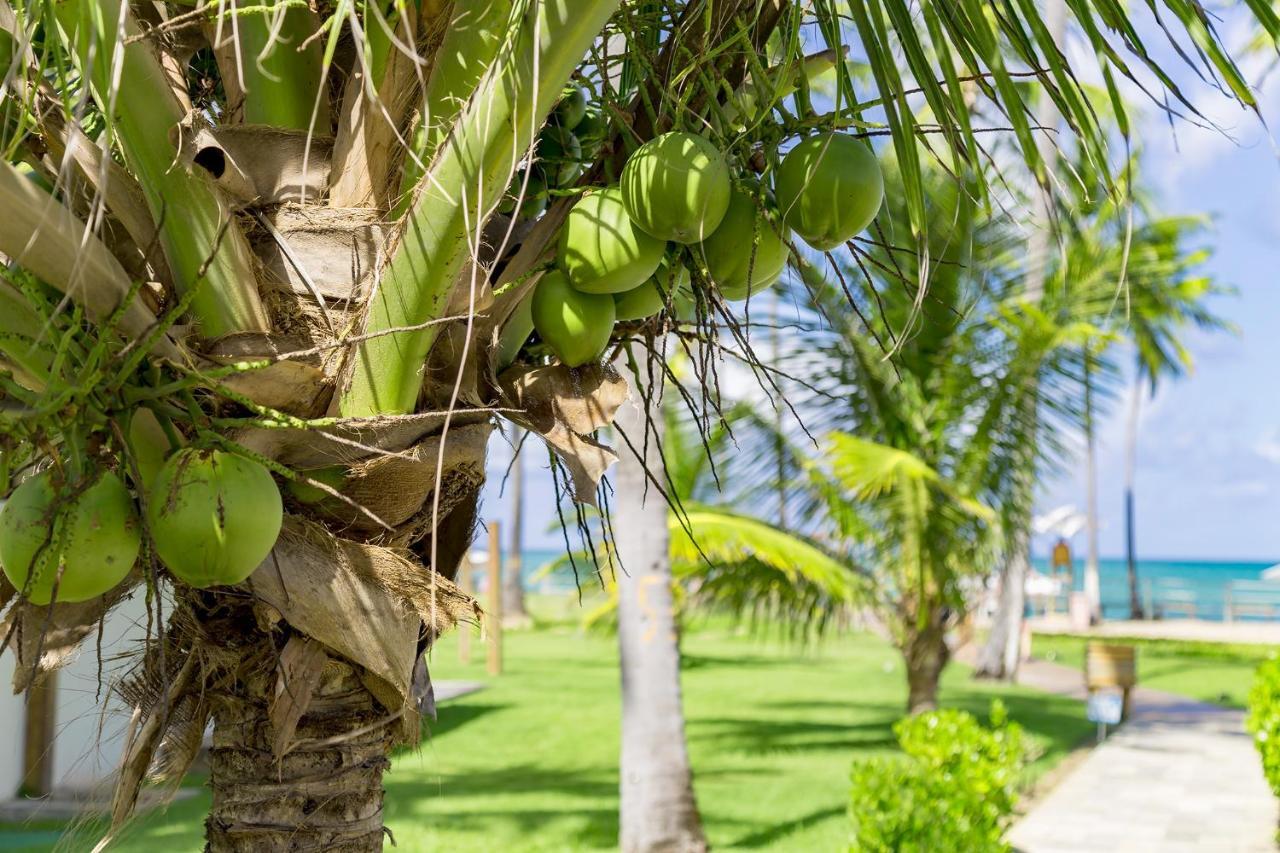 Bangalo Praia Dos Carneiros Dış mekan fotoğraf